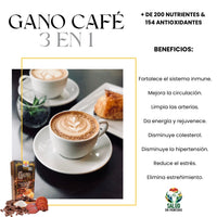 Gano Café 3 en 1