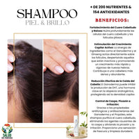 Shampoo Piel & Brillo