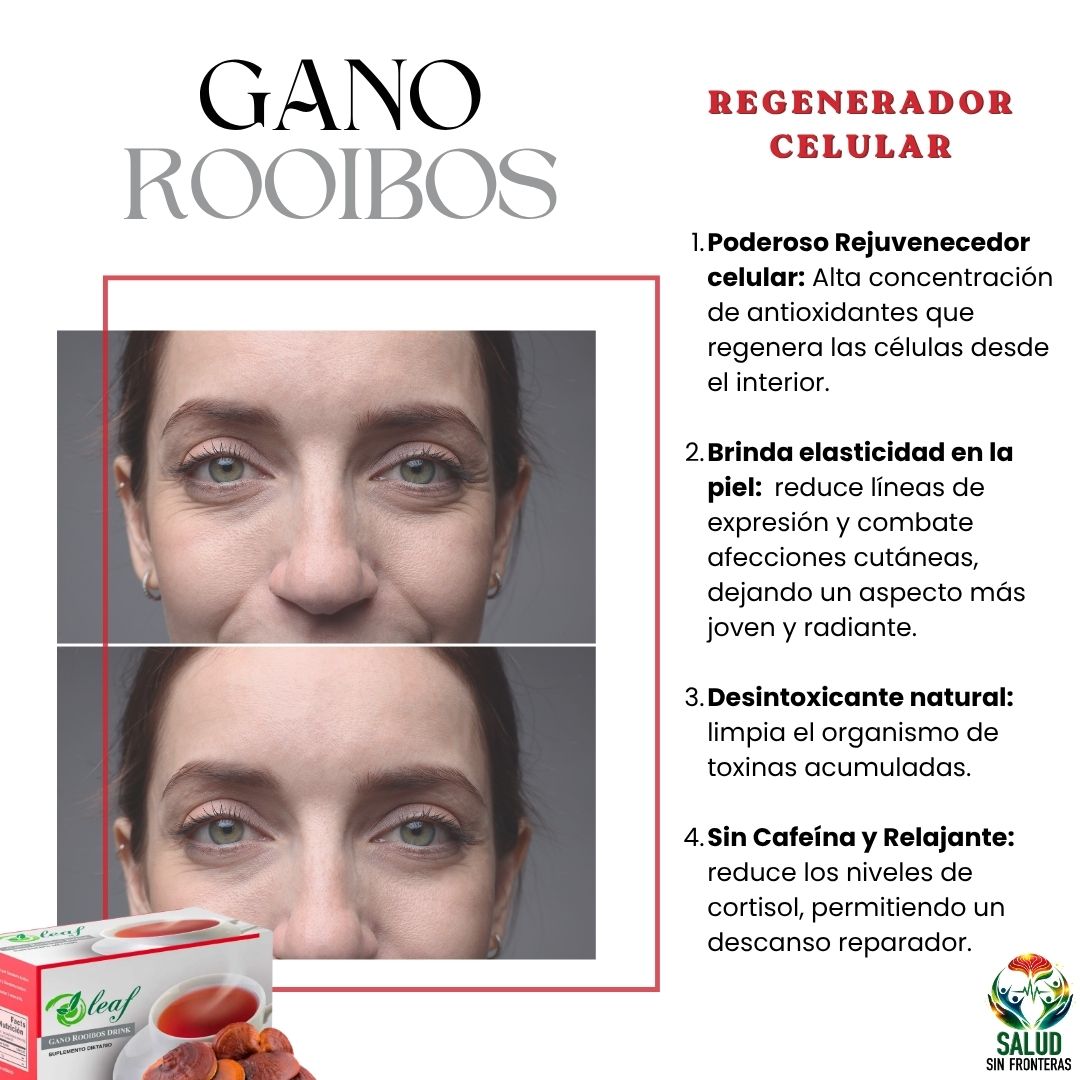 Oleaf Gano Rooibos Drink - Infusión
