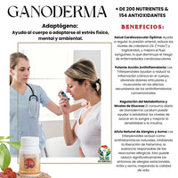 Ganoderma Cápsulas