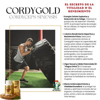 Cordygold - Cordyceps Sinensis