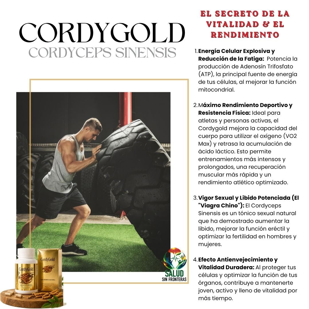 Cordygold - Cordyceps Sinensis