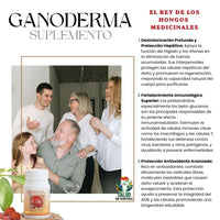 Ganoderma Cápsulas