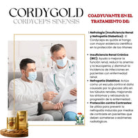 Cordygold - Cordyceps Sinensis
