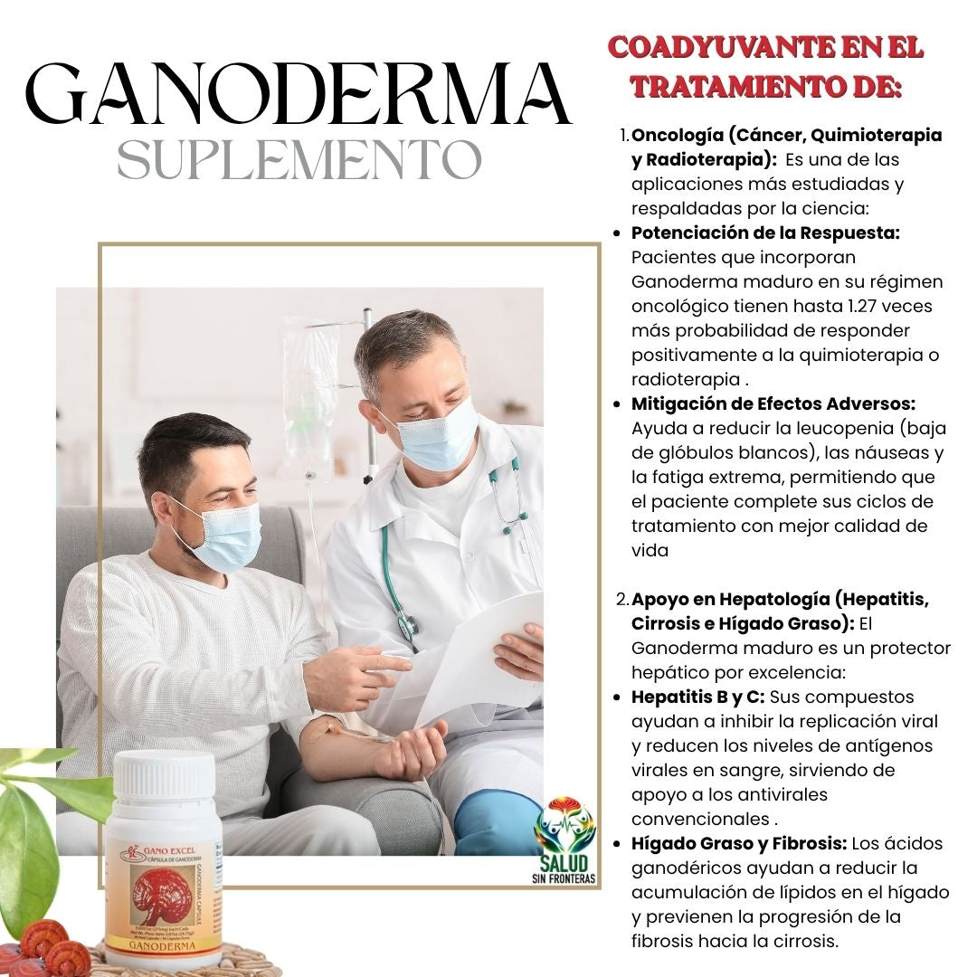 Ganoderma Cápsulas