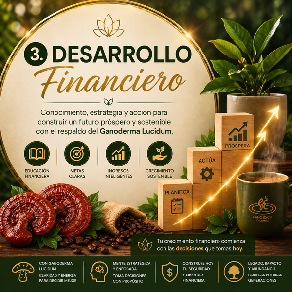 Desarrollo Financiero